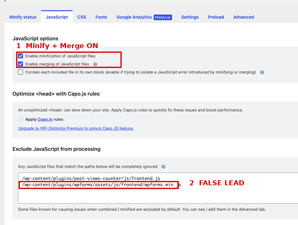WP-Optimize mit falschem wpforms-Pfad statt wpforms-lite in der JavaScript-Ausnahmeliste