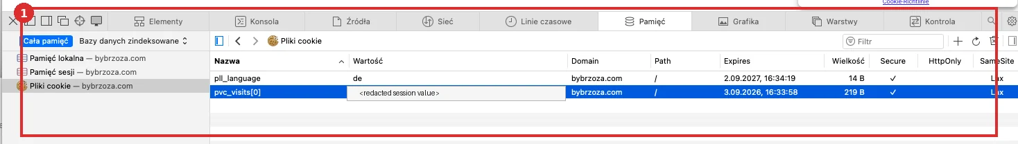 DevTools nach Einwilligung mit redigiertem pvc_visits Cookie